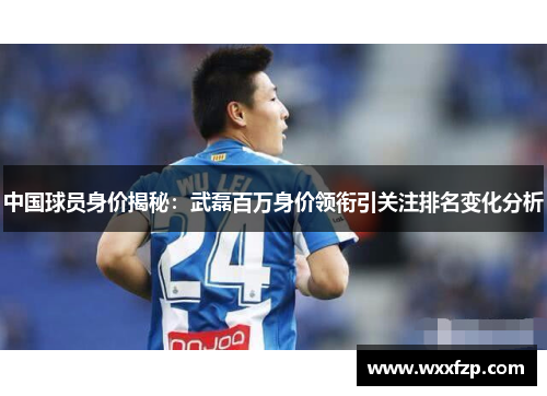 中国球员身价揭秘：武磊百万身价领衔引关注排名变化分析