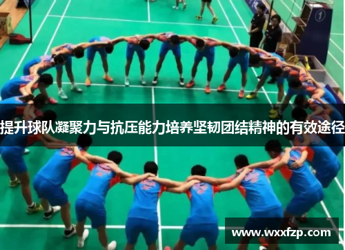 提升球队凝聚力与抗压能力培养坚韧团结精神的有效途径