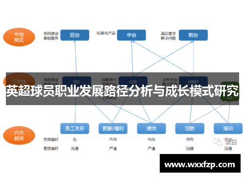英超球员职业发展路径分析与成长模式研究
