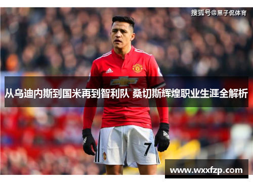 从乌迪内斯到国米再到智利队 桑切斯辉煌职业生涯全解析